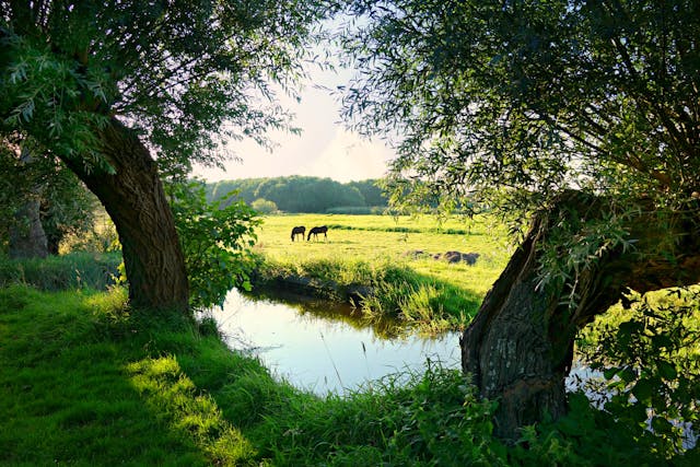 Fluisterboot Giethoorn